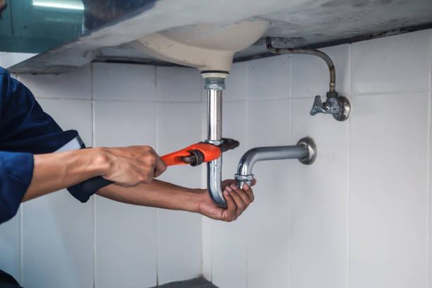 Best Clogged Drain Plumber  in Jasper, TX